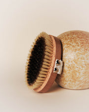 La Brosse Énergisante