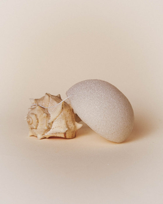 L'Eponge Konjac
