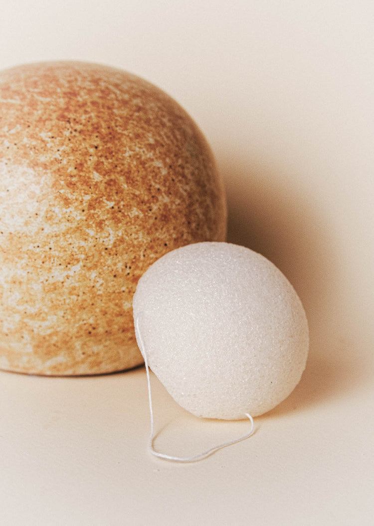 L'Eponge Konjac