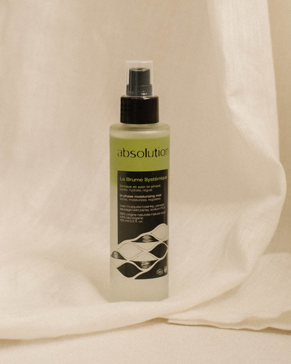 La Brume Systémique