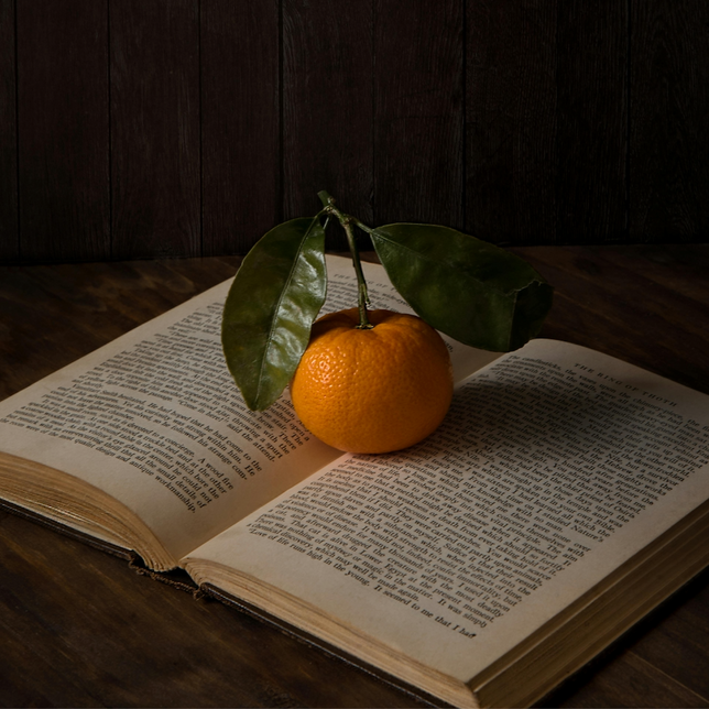 Les 5 romans à emporter dans sa valise pour les vacances d’hiver