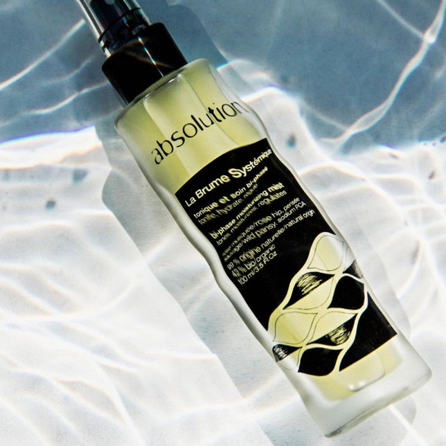 We tell you everything about the Brume Systémique !