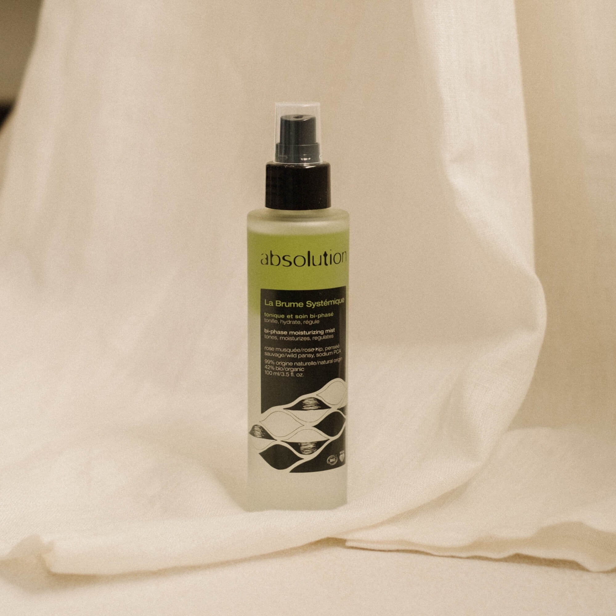 La Brume Systémique