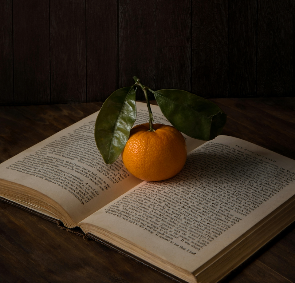 Les 5 romans à emporter dans sa valise pour les vacances d’hiver