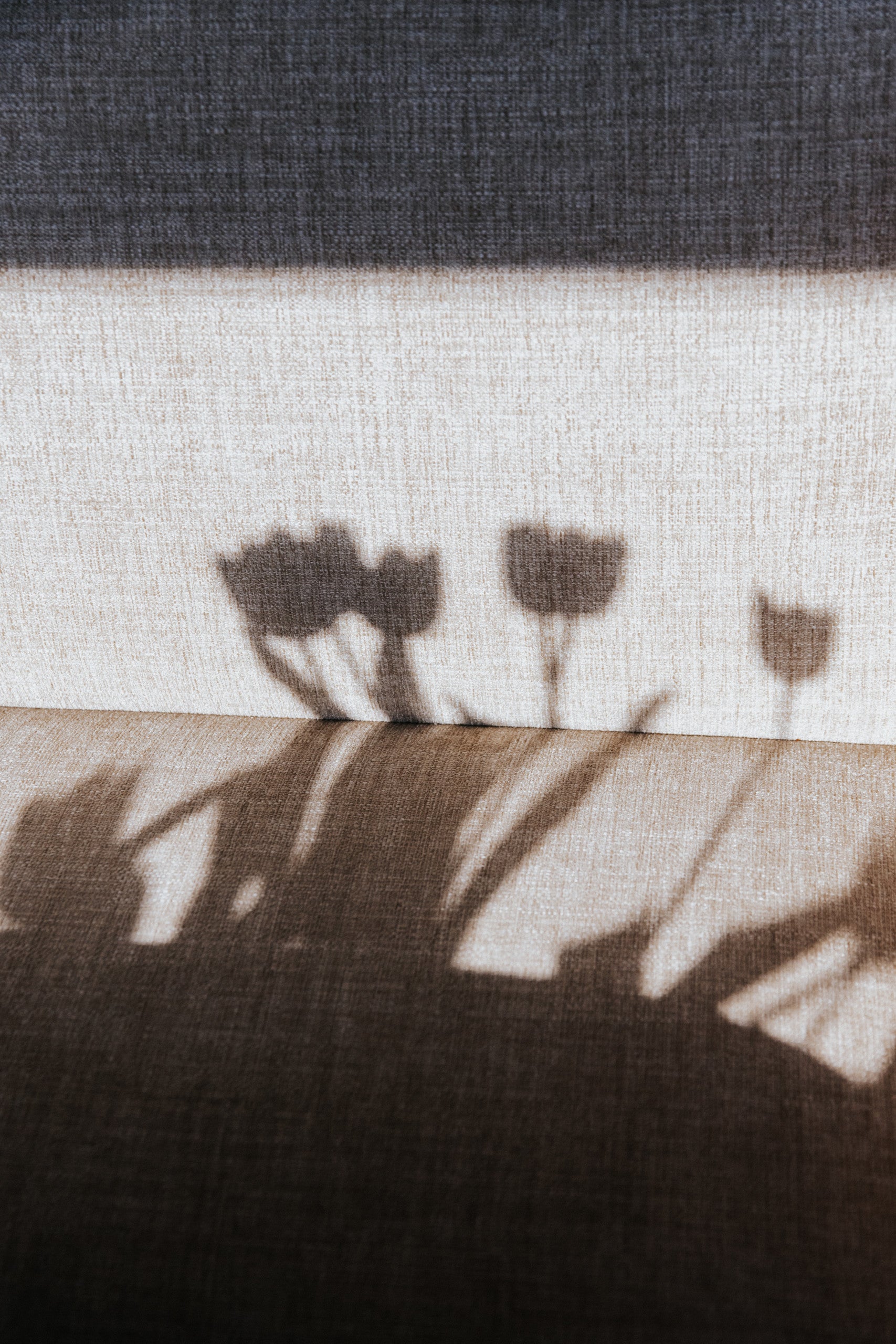 5 livres à emporter dans sa valise pour repenser notre corps  