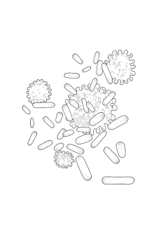 BioEcolia®