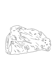 Charbon Activé