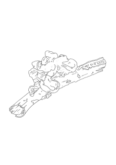 Trémelle des Neiges