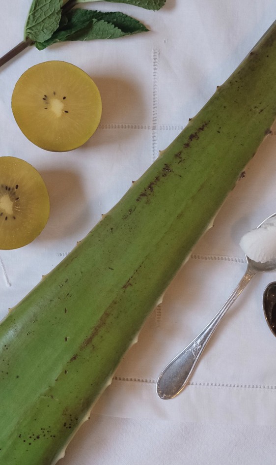 « Une cuisine simple, directe, colorée et pleine des saveurs du jardin. »