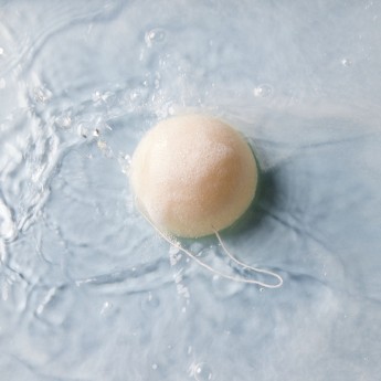 L'Eponge Konjac